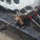 Image for article titled How I Fixed My $500 Postal Jeep After It Left Me Stranded in the Rocky Mountains